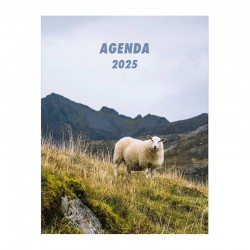 Agenda 2025