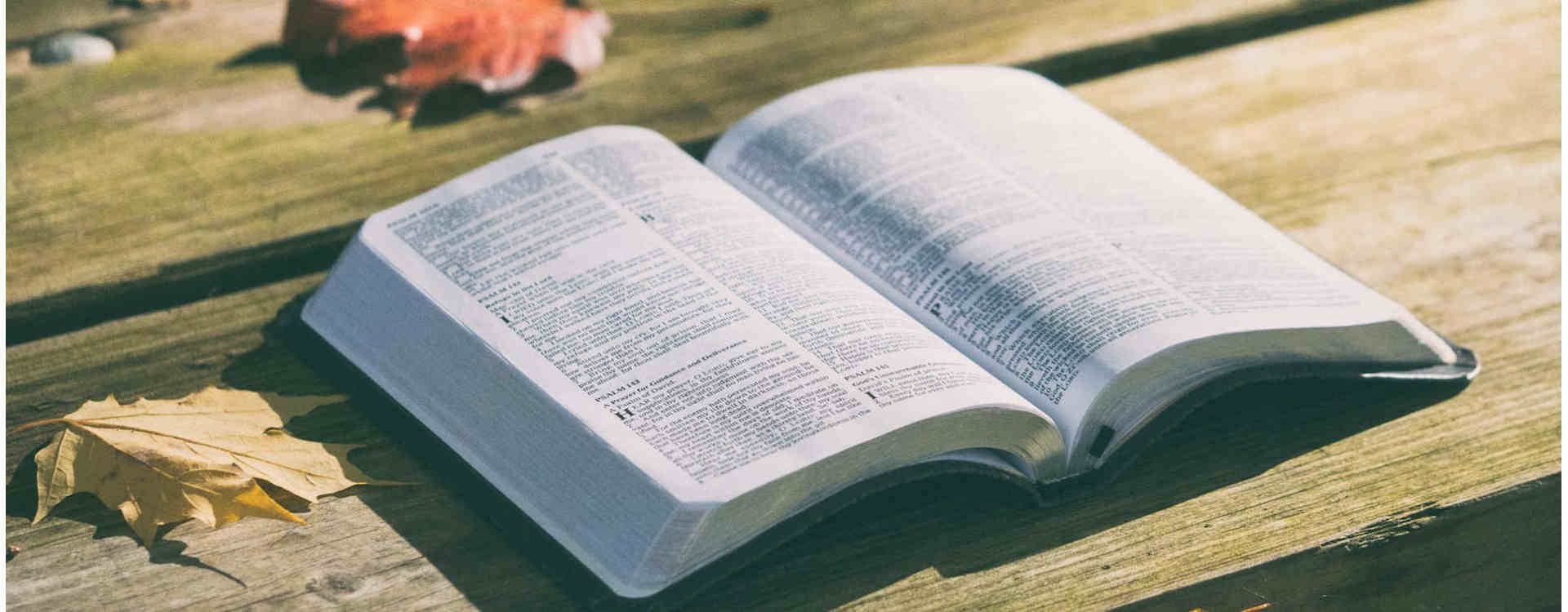 Cosa è la Bibbia? Domanda universale